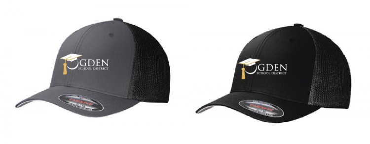 Flexfit Mesh Back Cap - Click Image to Close